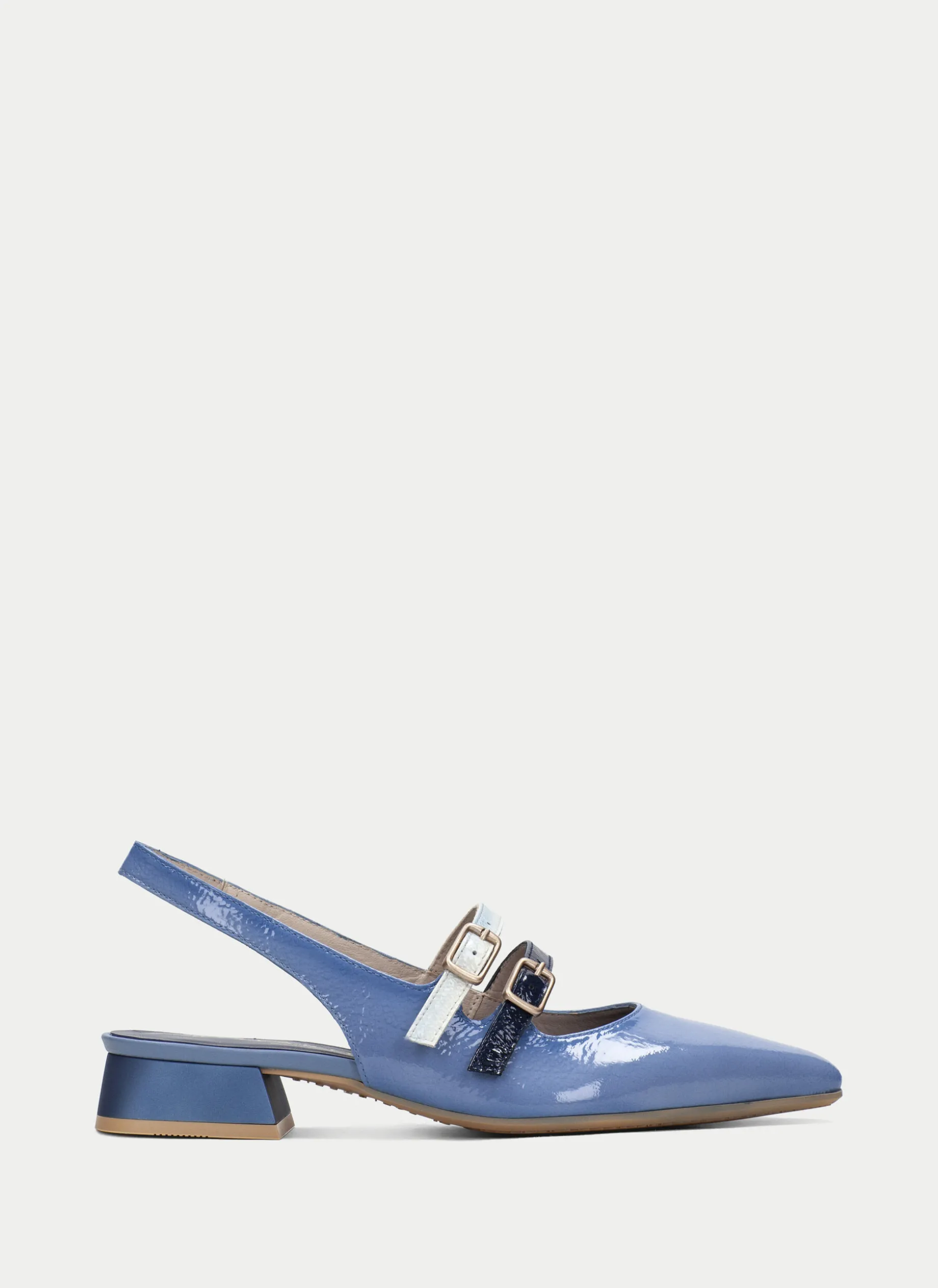 Sapatos rasos dali azure
